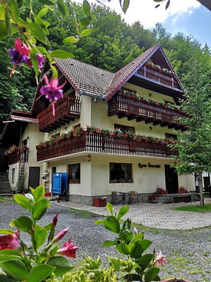 Hotel Raza Soarelui Moeciu De Sus Exterior foto