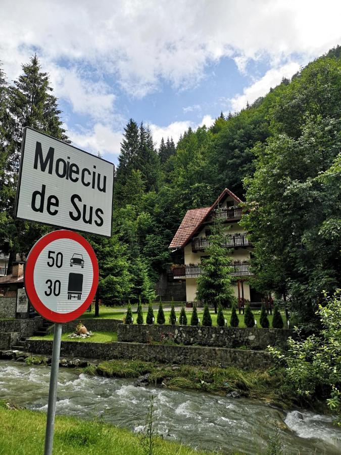 Hotel Raza Soarelui Moeciu De Sus Exterior foto
