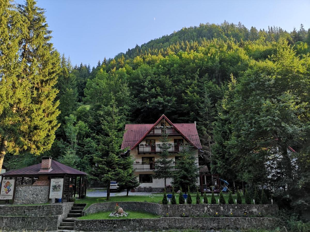 Hotel Raza Soarelui Moeciu De Sus Exterior foto
