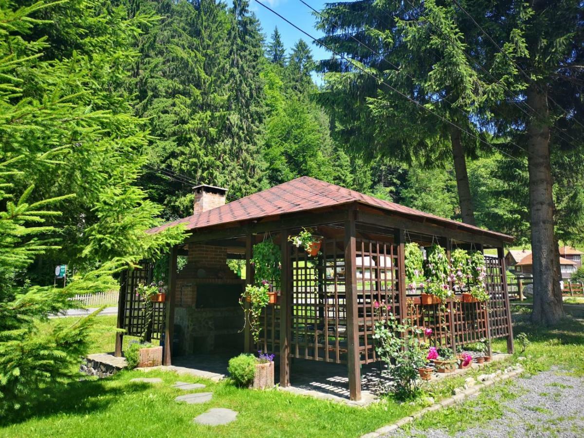 Hotel Raza Soarelui Moeciu De Sus Exterior foto